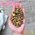 黄芩 苦黄芩 野生 枯黄芩 产地 陕西省榆林市市辖区